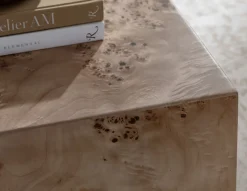 Anissa Burl Wood Coffee Table