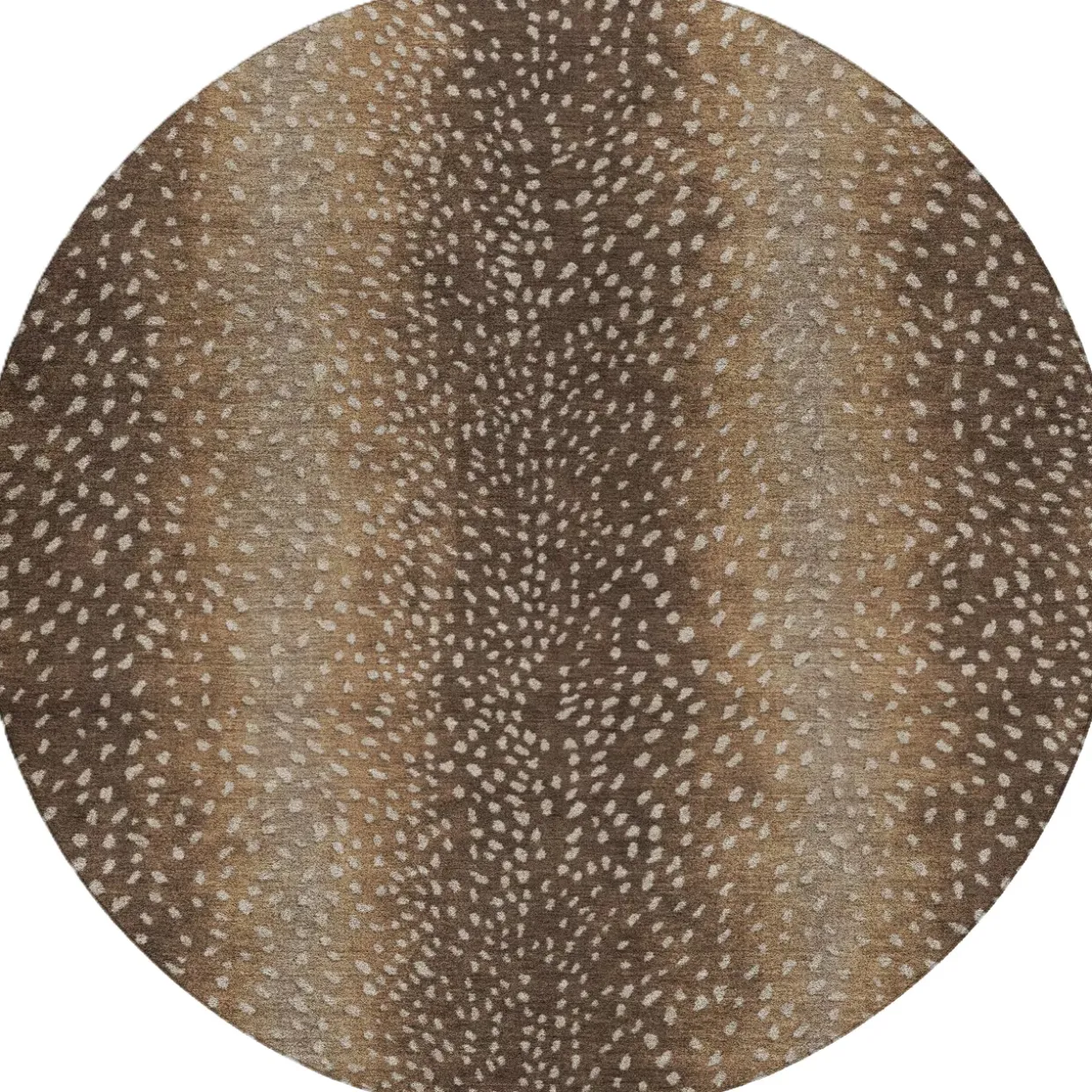 Axis Rug