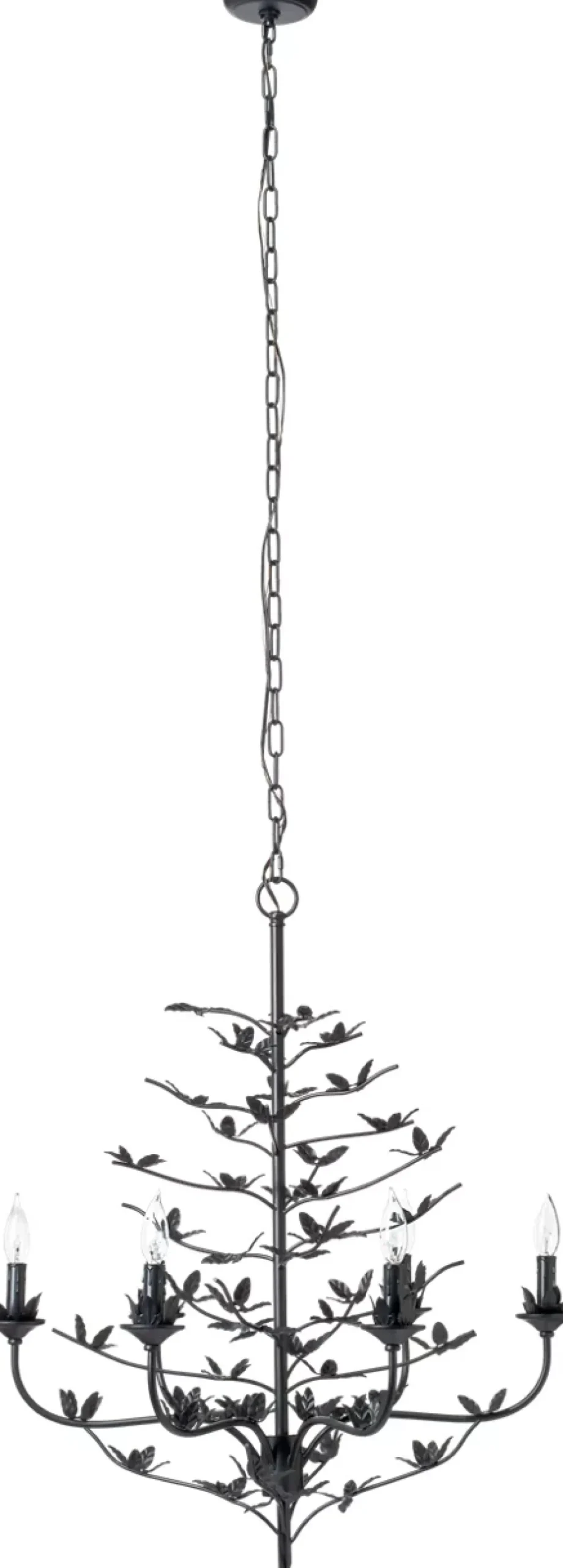 Coralina Chandelier
