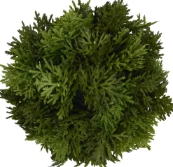 Cypress Greenery