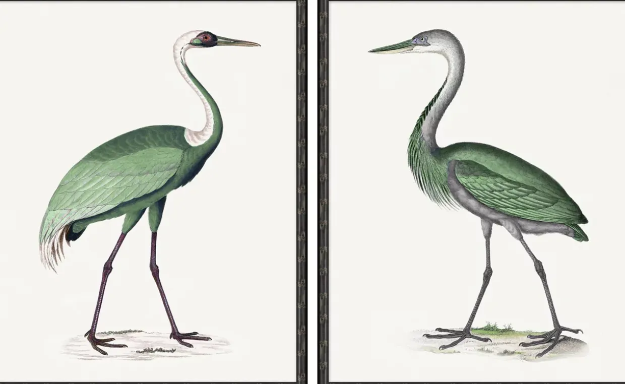 Emerald Wings Wall Art