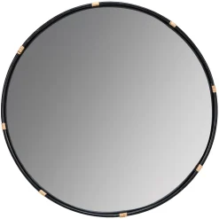 Ervin Mirror