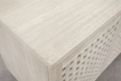 Ginny Entertainment Console
