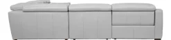 Leo Sectional