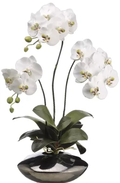 Moth Orchid Floral in Metallic Bowl