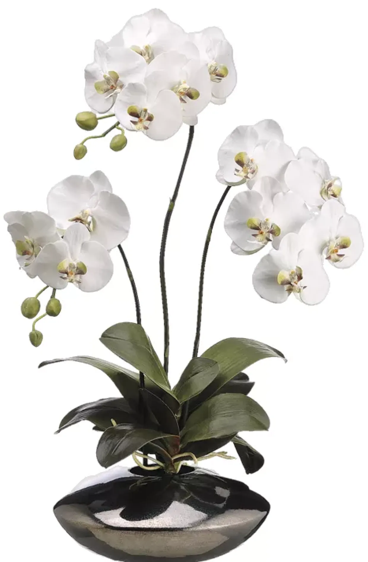 Moth Orchid Floral in Metallic Bowl