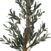 Olive II Tree