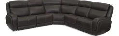 Polaris Sectional