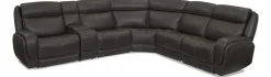 Polaris Sectional