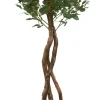 Poppel Spray Tree