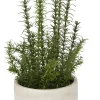 Rosemary Greenery