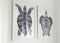 Sea Turtle Framed Art