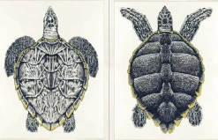 Sea Turtle Framed Art