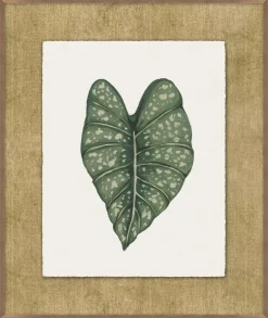Timeless Tropics Wall Decor