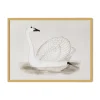 Vintage Swan Wall Art