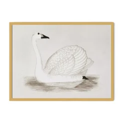 Vintage Swan Wall Art